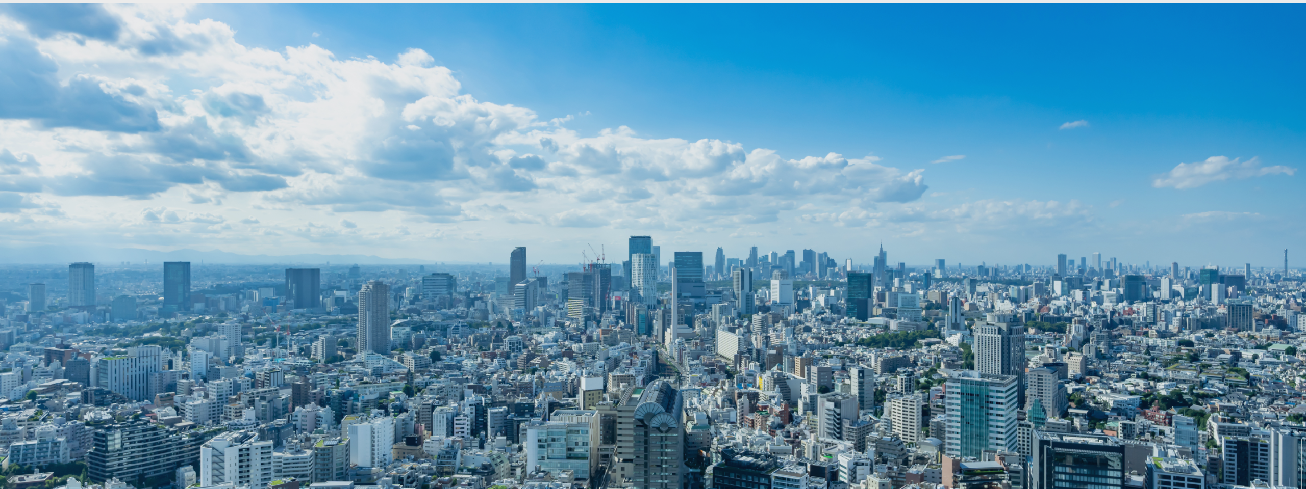 事業概要